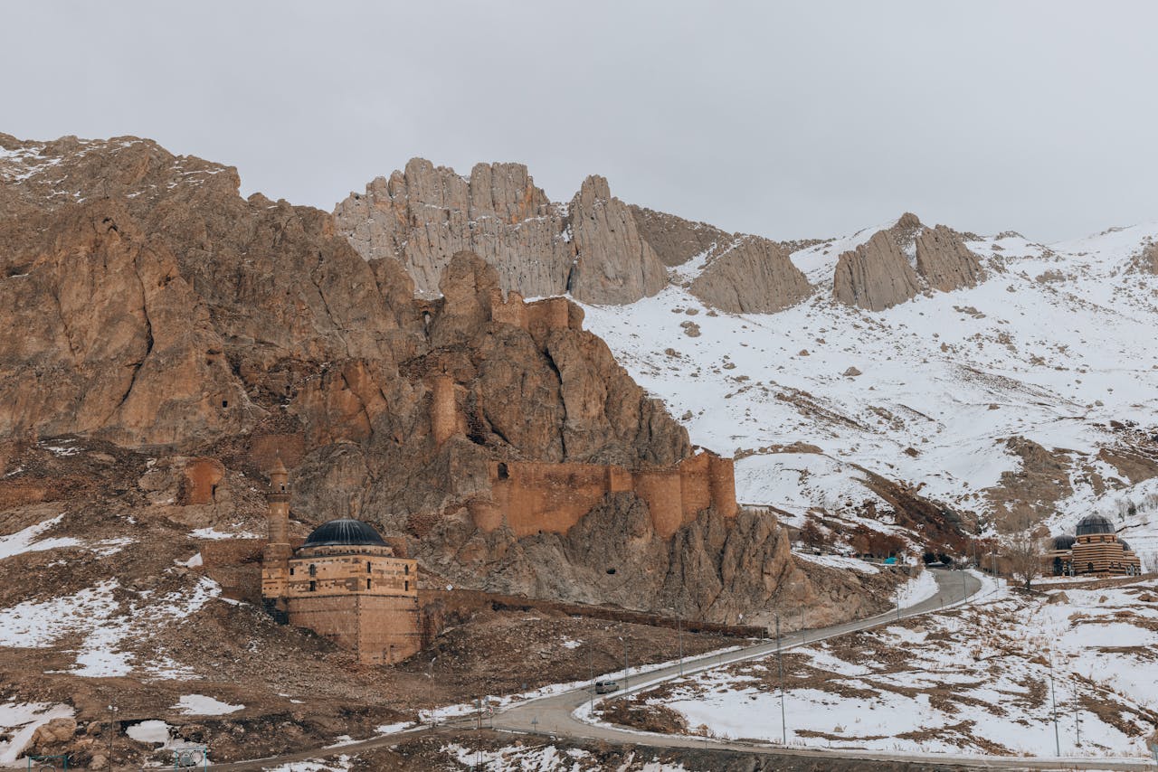 Pexels Photo 36203442