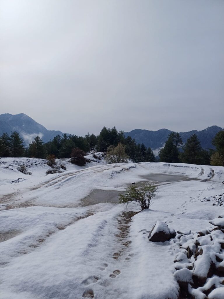 whatsapp image 2026 04 04 at 11.59.01 (1)