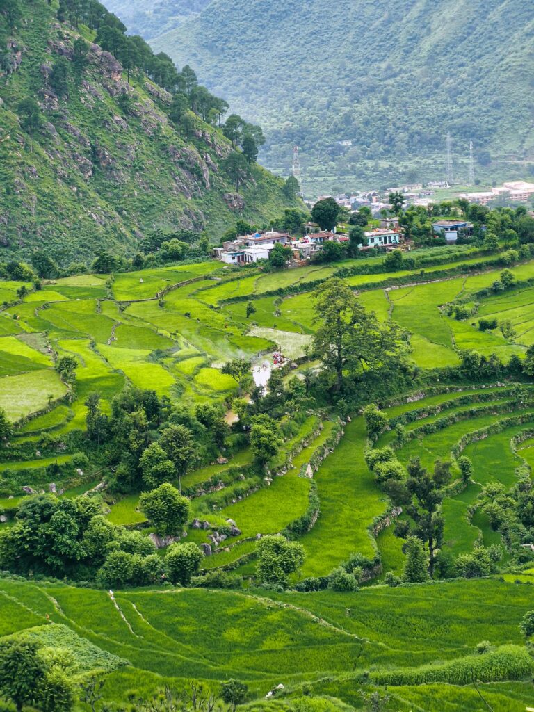Peaceful terraced fields and village in Uttarakhand's scenic mountain landscape.
