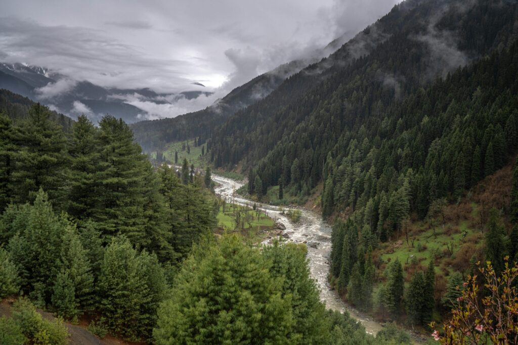 Lush green valley with a winding river in Pahalgam, Kashmir, under cloudy skies.